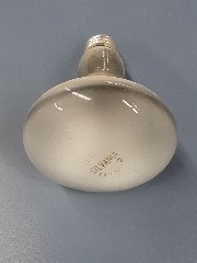 Sylvania White Flood Light Bulbs