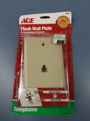 Telephone and Video Flush Wall Plate