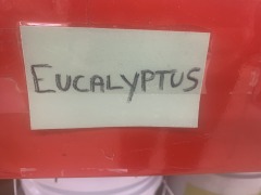 EarthPaint-Eucalyptus-2gallon