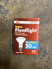 Indoor Floodlight 50 Watt